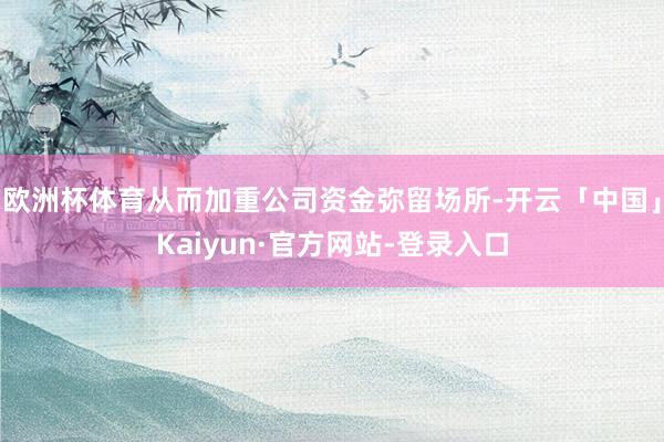 欧洲杯体育从而加重公司资金弥留场所-开云「中国」Kaiyun·官方网站-登录入口