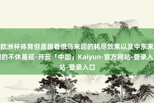 欧洲杯体育但是跟着俄乌来回的耗尽效果以及中东来回的不休蔓延-开云「中国」Kaiyun·官方网站-登录入口