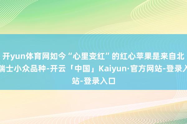 开yun体育网如今“心里变红”的红心苹果是来自北欧瑞士小众品种-开云「中国」Kaiyun·官方网站-登录入口