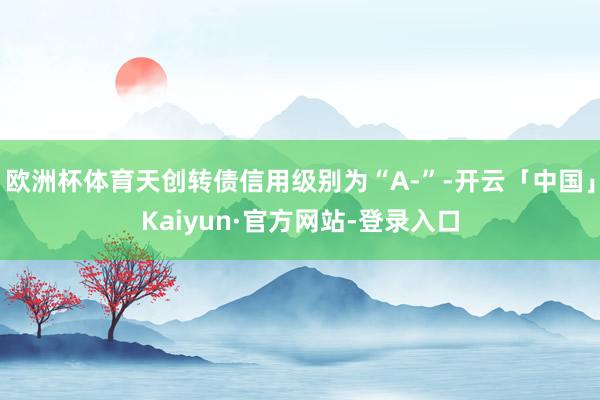 欧洲杯体育天创转债信用级别为“A-”-开云「中国」Kaiyun·官方网站-登录入口