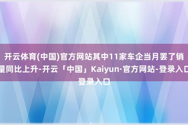 开云体育(中国)官方网站其中11家车企当月罢了销量同比上升-开云「中国」Kaiyun·官方网站-登录入口